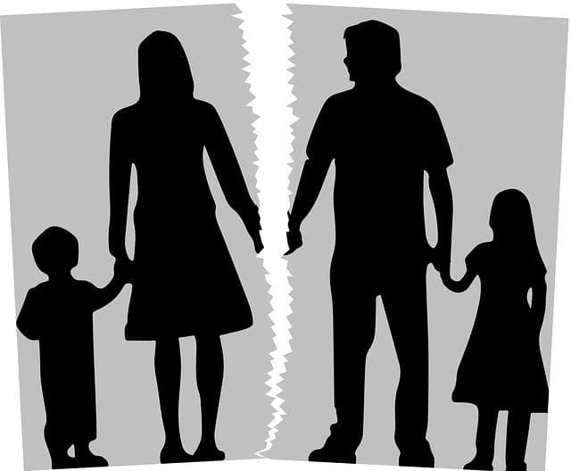 La custodia compartida redefine la pensión de alimentos frente a los datos de divorcio y las posibilidades económicas de los padres