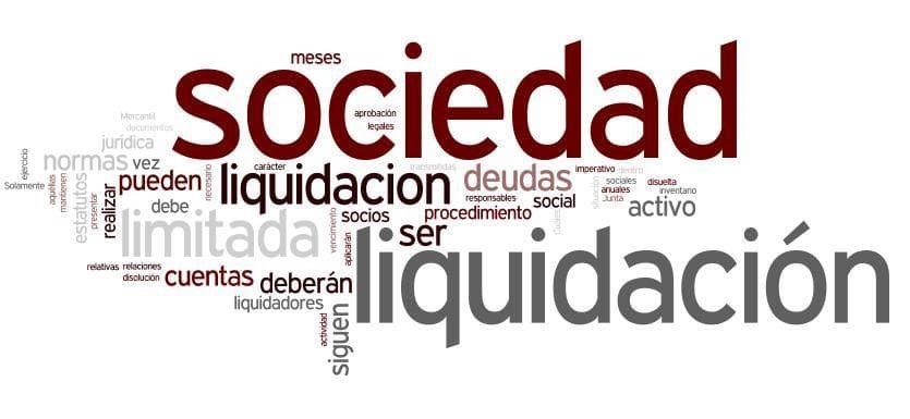 Reparto del haber social en la liquidación de una sociedad mercantil de responsabilidad limitada